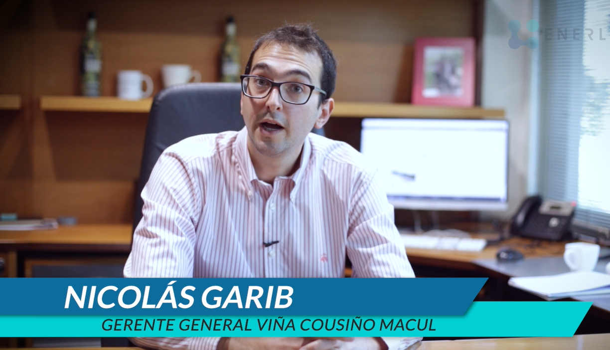 Nicolas Garib